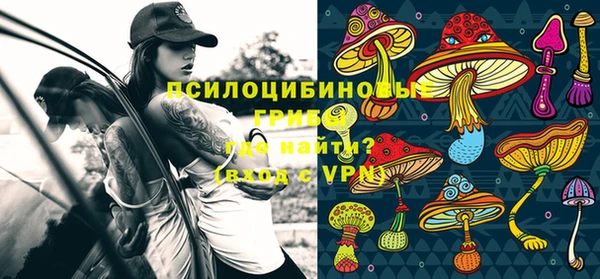 бошки Надым