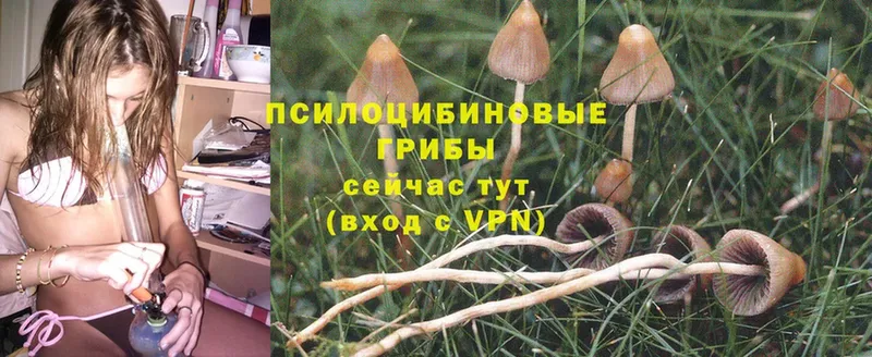 Галлюциногенные грибы MAGIC MUSHROOMS  MEGA ССЫЛКА  Калачинск 