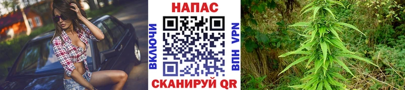МАРИХУАНА марихуана Калачинск